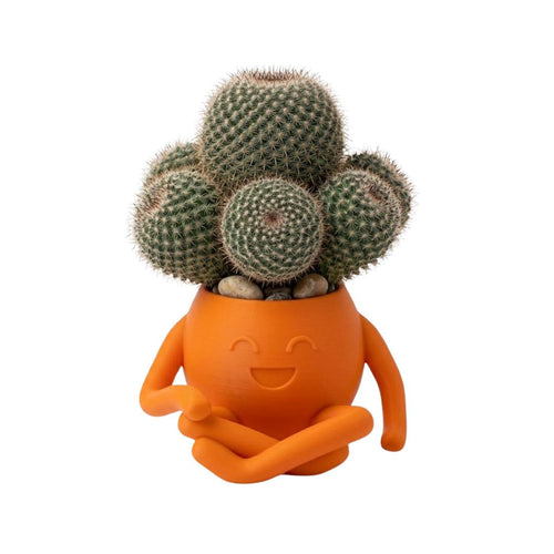Refreshing Orange WooSah Mini Planter