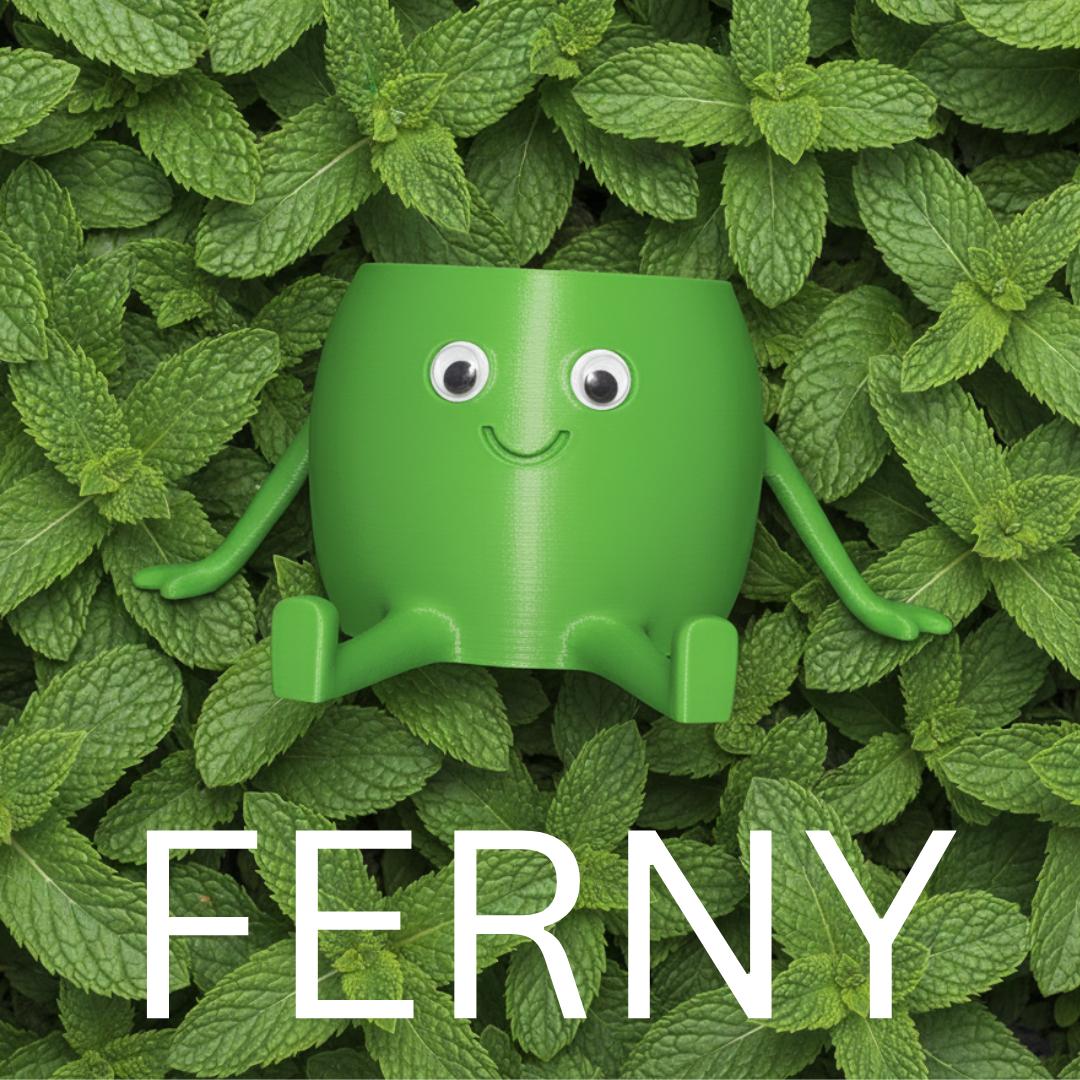 Ferny Cubbie Collectible Planter image 1